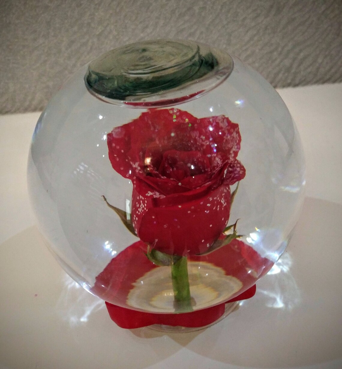 Real preserved rose in a water glass globe/Infinity Etsy