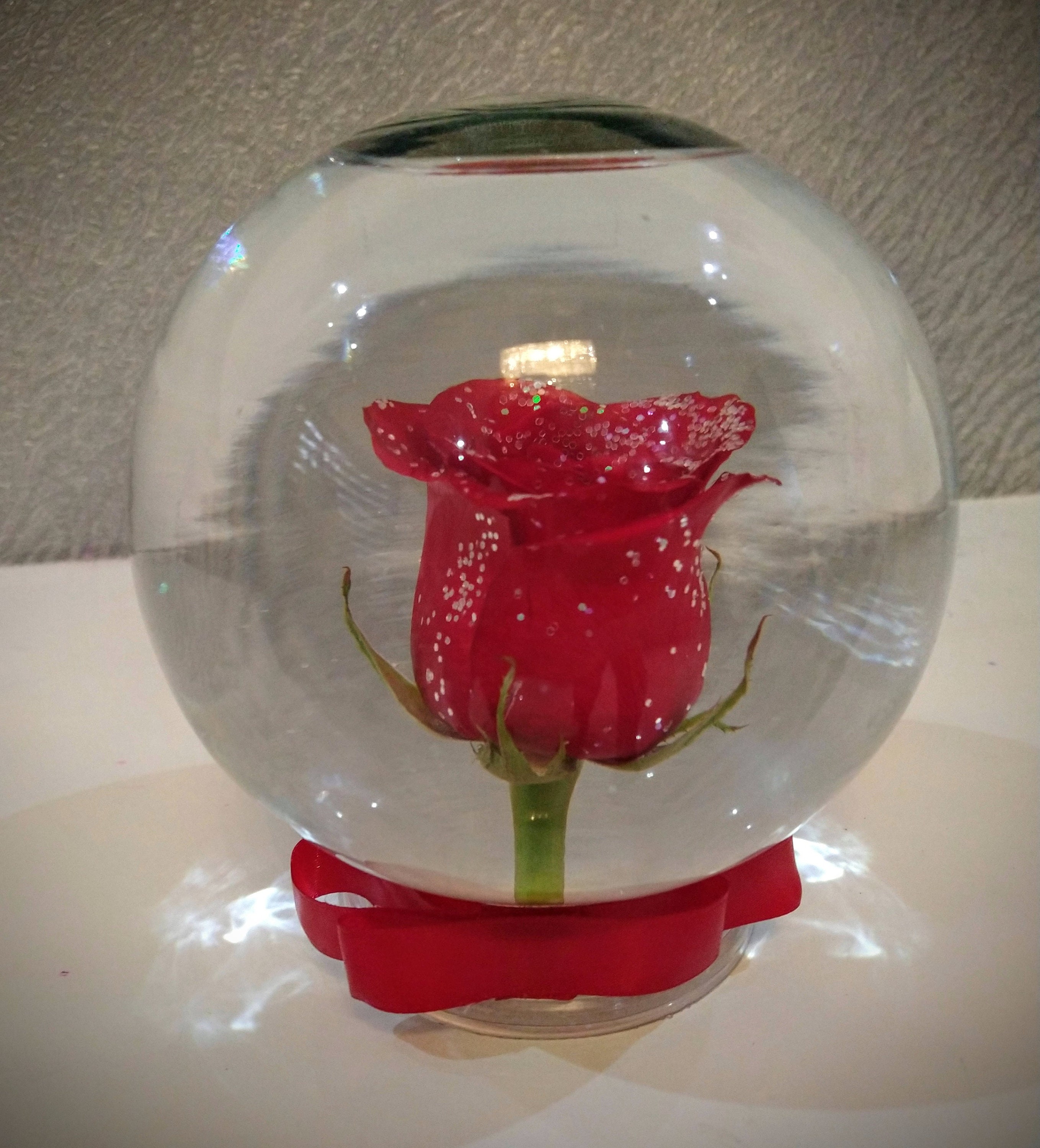 Real preserved rose in a water glass globe/Infinity Etsy
