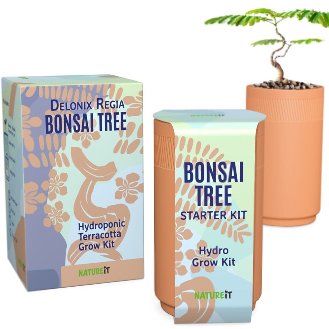 Bonsai Tree Seed Stater Hydroponic Terracotta Grow Kit. Grow a