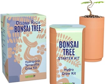 Bonsai Tree Seed Stater Hydroponic Terracotta grow kit. Grow a beautiful Bonsai tree from seed with hydro system. Perfect for Bonsai lovers