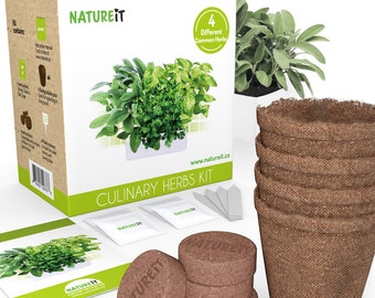 Culinary Herbs Seed Starter Kit. Grow 4 Types of Herbs from Seed. Parsley, Basil, Cilantro, Sage. Planters, Soil. Perfect for Plant Lovers