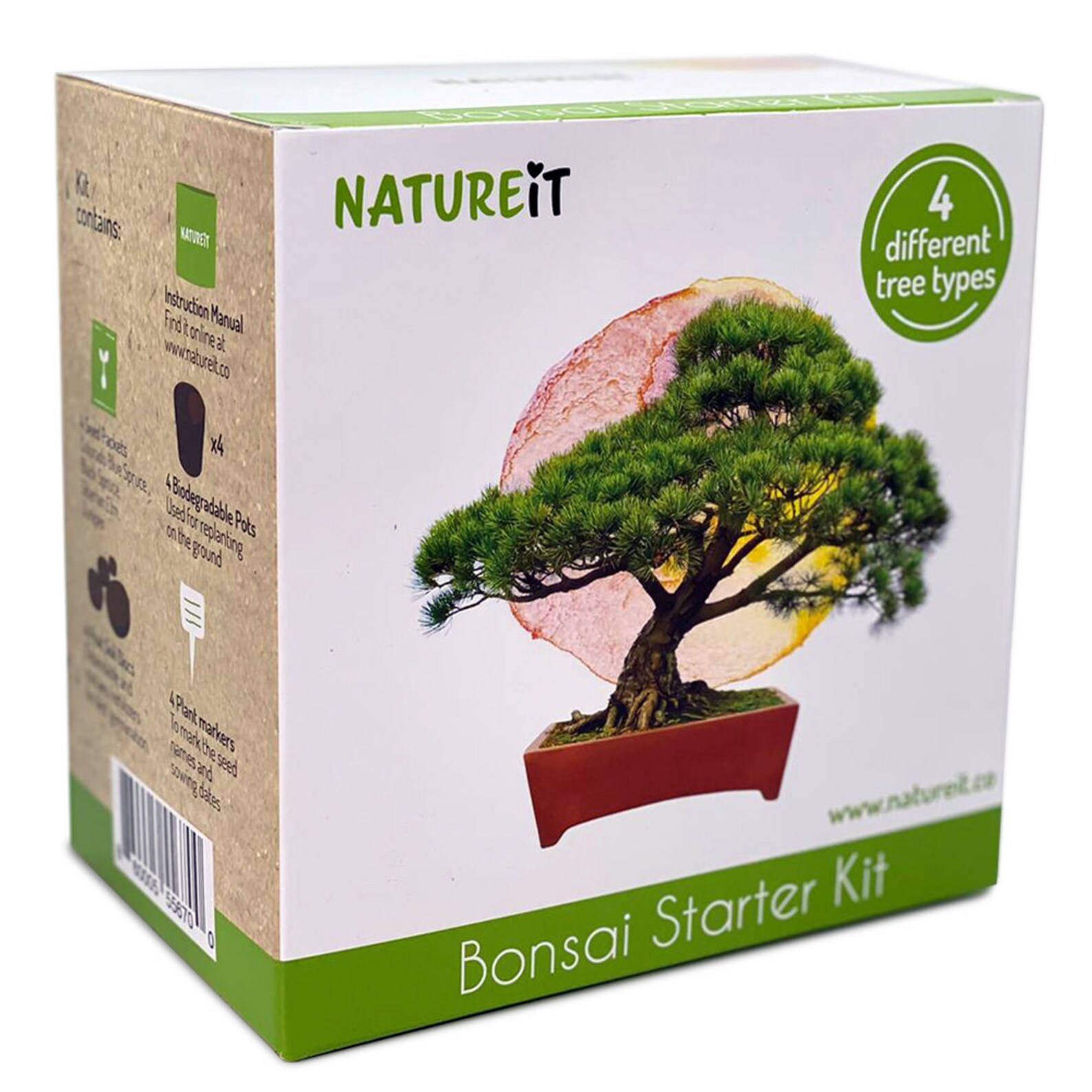 Bonsai Tree Seed Starter Kit Grow 4 Bonsai Trees from Seeds. Etsy