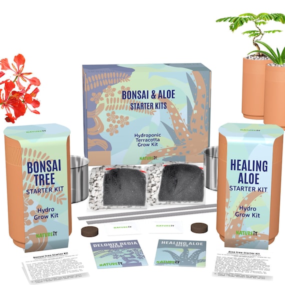 GROWING KIT, BONSAI Kit, Bonsai Seeds Grow 4 Types of Bonsai Trees Nature  Lover Housewarming Gift, Bonsai Tree Starter Kit -  Israel