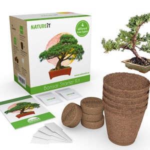Bonsai Tree Seed Starter Kit - Grow 4 Bonsai Trees From Seeds. All-in-one  Indoor / Outdoor DIY Beginner Grow Kit for Men & Women - Etsy