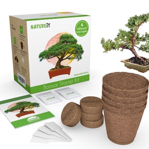 Bonsai Tree Seed Starter Kit Grow 4 Bonsai Trees from Seeds. All-in-One Indoor / Outdoor DIY Beginner Grow kit for Men & Women image 1