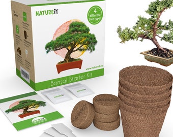 Bonsai Tree Seed Starter Kit - Grow 4 Bonsai Trees from Seeds. All-in-One Indoor / Outdoor DIY Beginner Grow kit for Men & Women