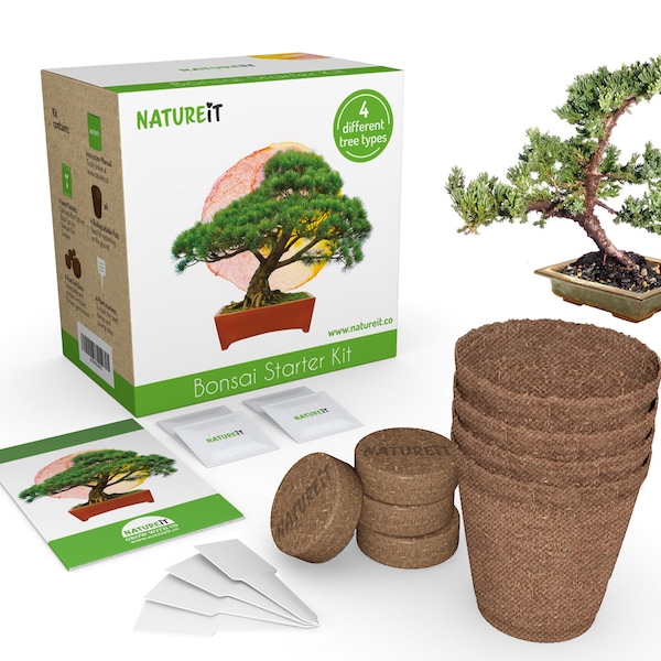 Bonsai Tree Seed Starter Kit - Grow 4 Bonsai Trees from Seeds. All-in-One Indoor / Outdoor DIY Beginner Grow kit for Men & Women