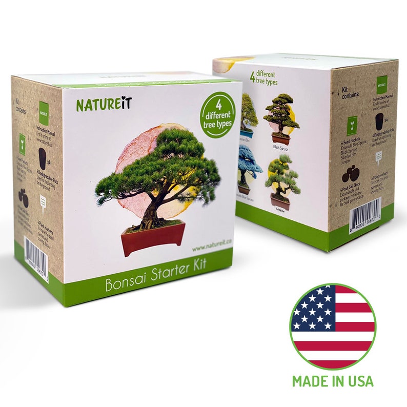 Bonsai tree seed starter kit. Easy to grow Bonsai trees for beginners. Hobby and craft kits for adults. Unusual garden gift for plant lovers. Gardener mom. Gift for dad. unique housewarming gift. All in one grow set. Pots and planters Fertilized soil