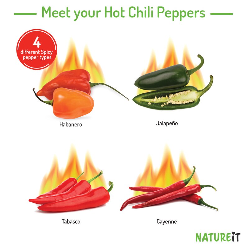 Hot Chili Peppers seed starter kit. Grow 4 types of common spicy peppers. Hobby & craft kits for adults. Unusual garden gift for plant lovers Gardener mom. Gift for dad. Unique housewarming gift. All in one grow set. Pots and planters Fertilized soil