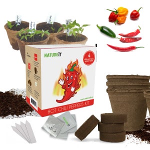 Hot Chili Peppers Seed Starter Kit Grow 4 Spicy Peppers from Seeds. All-in-One Indoor / Outdoor DIY Beginners Grow kit. Gift for foodies image 5