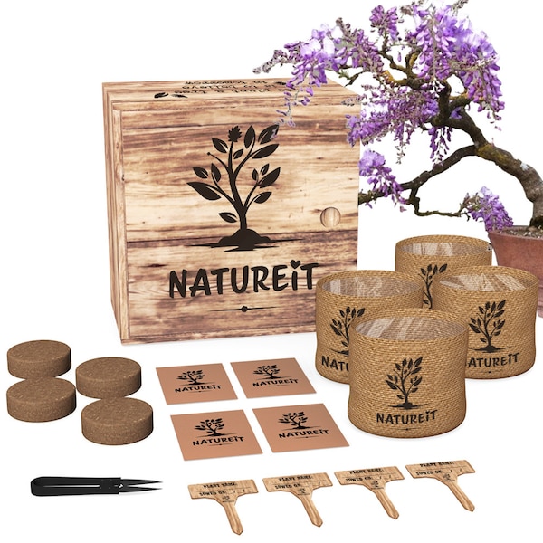 Bonsai Tree Seed Starter Kit - Unique Wooden Gift Box. Grow 4 Types of Bonsai Trees. Gardening Gifts for Plant Lovers