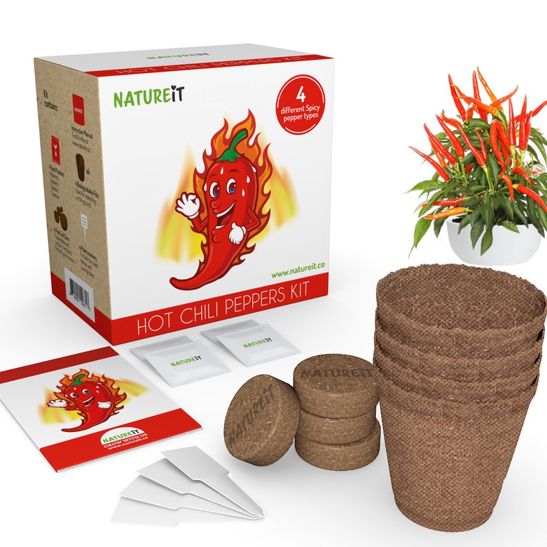 Hot Chili Peppers Seed Starter Kit Grow 4 Spicy Peppers From Seeds. All