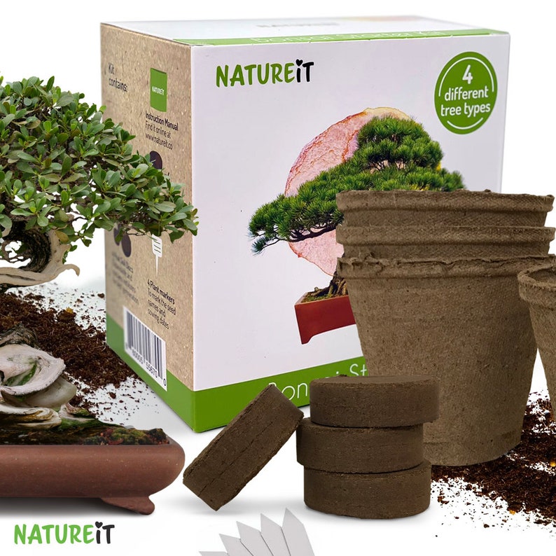 Bonsai tree seed starter kit. Easy to grow Bonsai trees for beginners. Hobby and craft kits for adults. Unusual garden gift for plant lovers. Gardener mom. Gift for dad. unique housewarming gift. All in one grow set. Pots and planters Fertilized soil