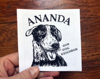 Ananda Mini Comic