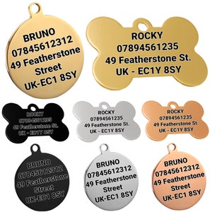 Best dog top id tags
