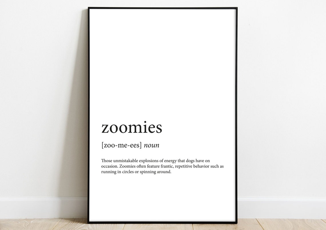 Zoomies Definition Print Poster Quote A4 A5 Etsy