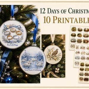 May include: A collection of 12 Days of Christmas 10 Printables featuring round ornaments with blue and white illustrations. One ornament shows five gold rings, another depicts seven swans a-swimming, and a third shows a partridge in a pear tree.