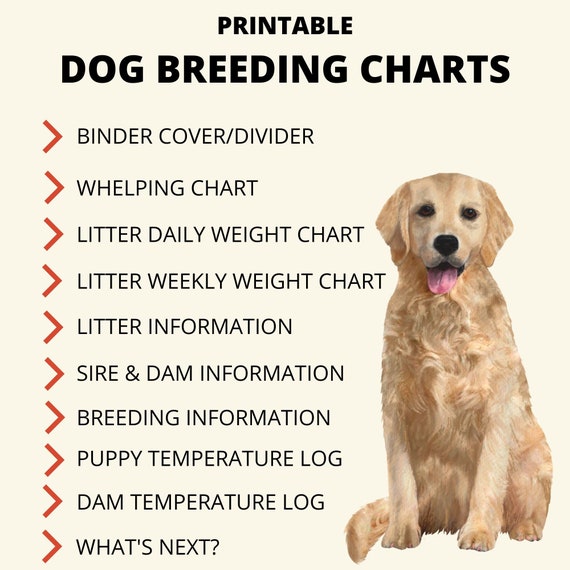 Information about breeding and whelping a litter of puppies
