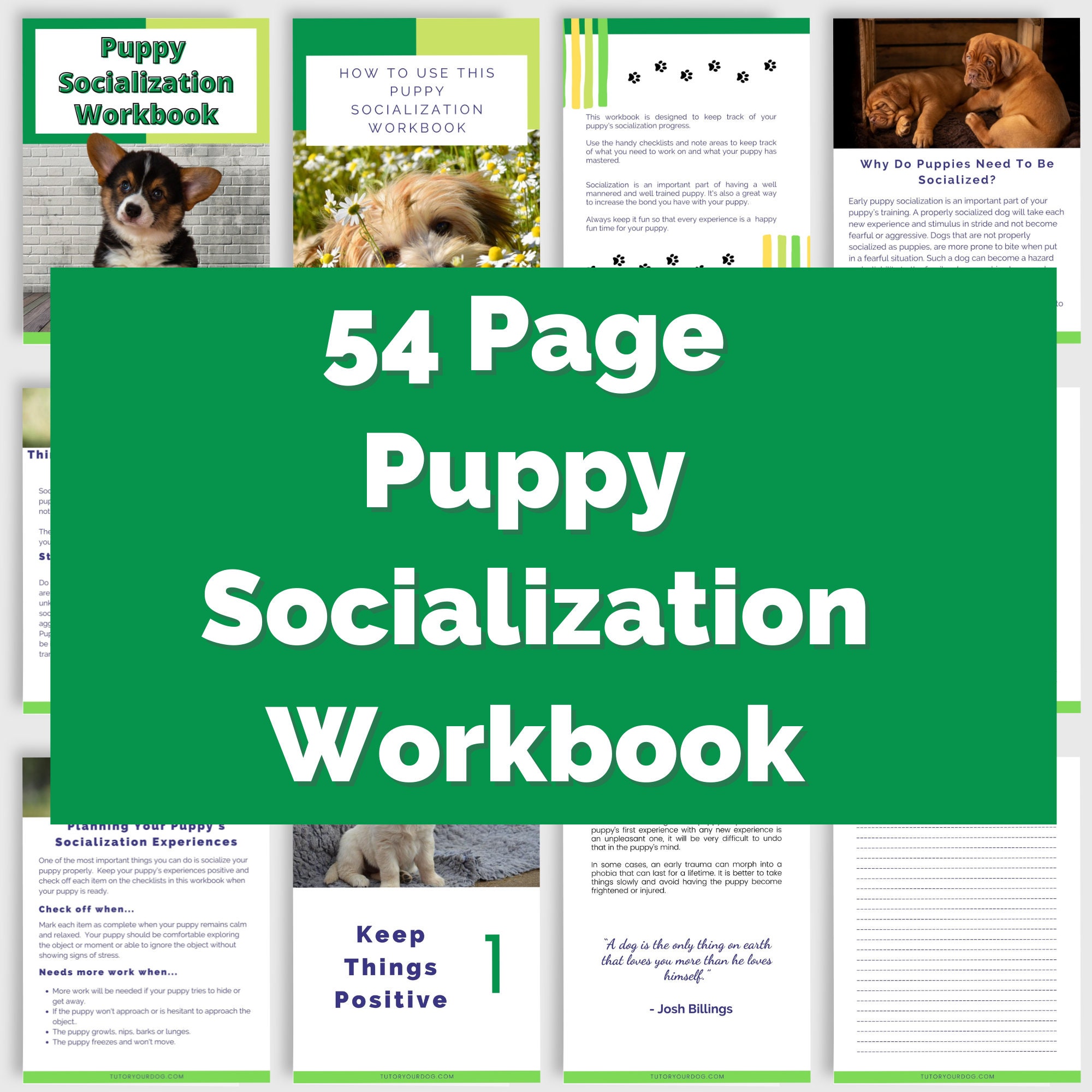Printable Puppy Socialization Workbook | Puppy Socialization Checklist | Puppy Socialization ...