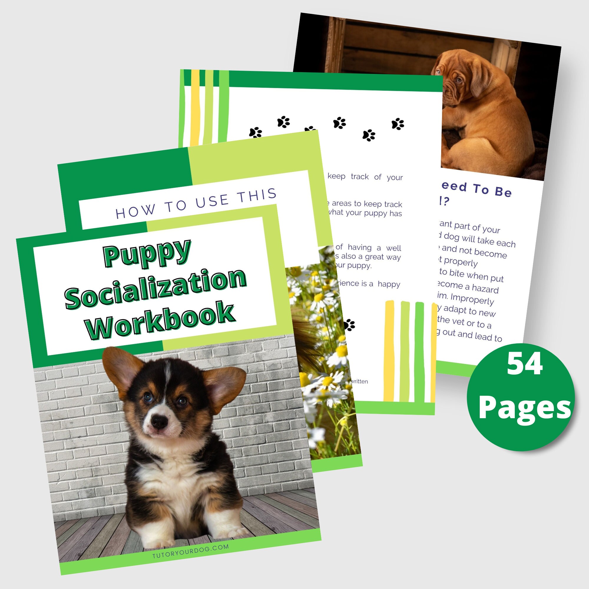 Printable Puppy Socialization Workbook | Puppy Socialization Checklist ...