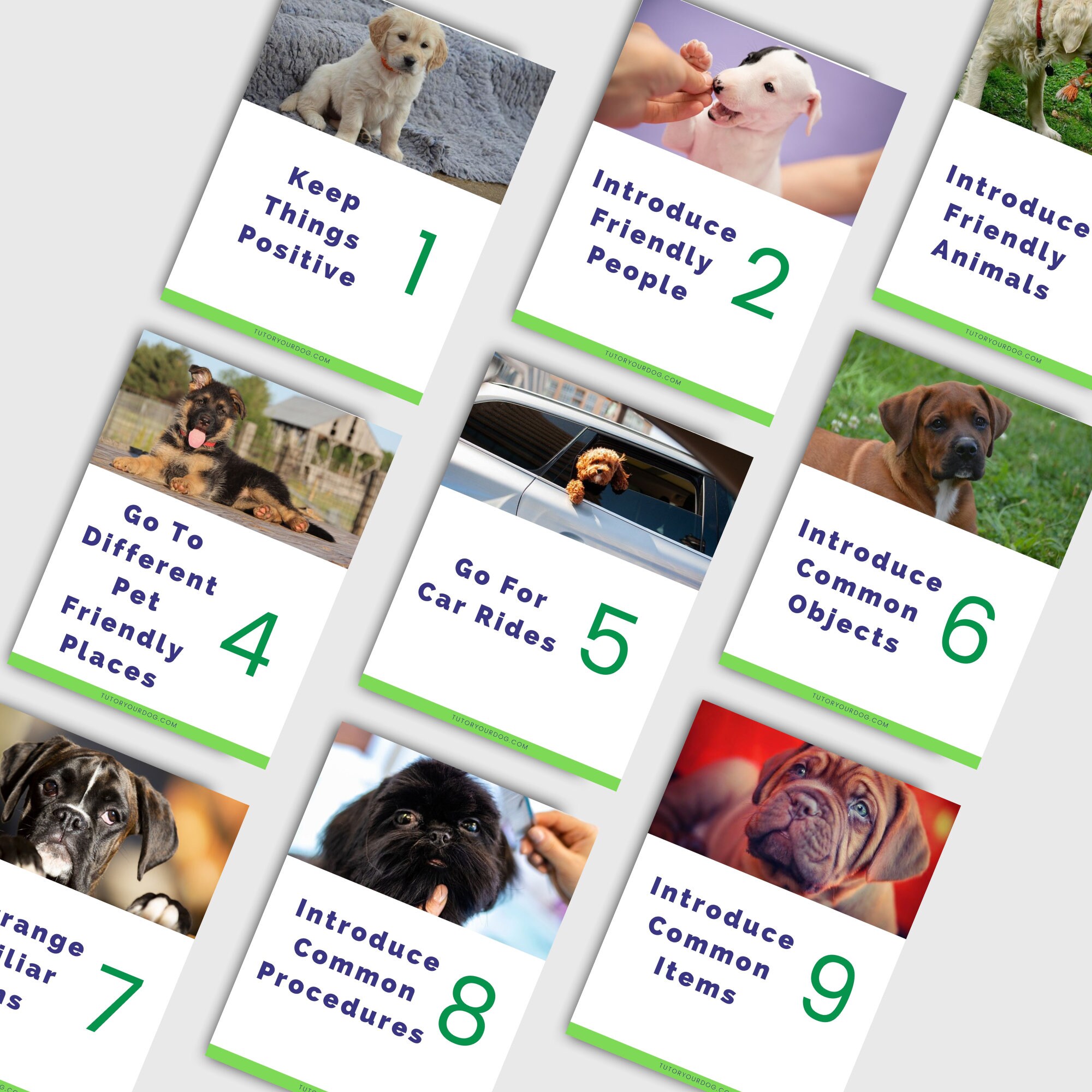 Printable Puppy Socialization Workbook | Puppy Socialization Checklist ...