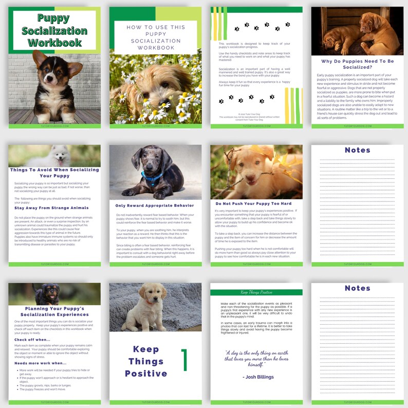 Printable Puppy Socialization Workbook | Puppy Socialization Checklist ...