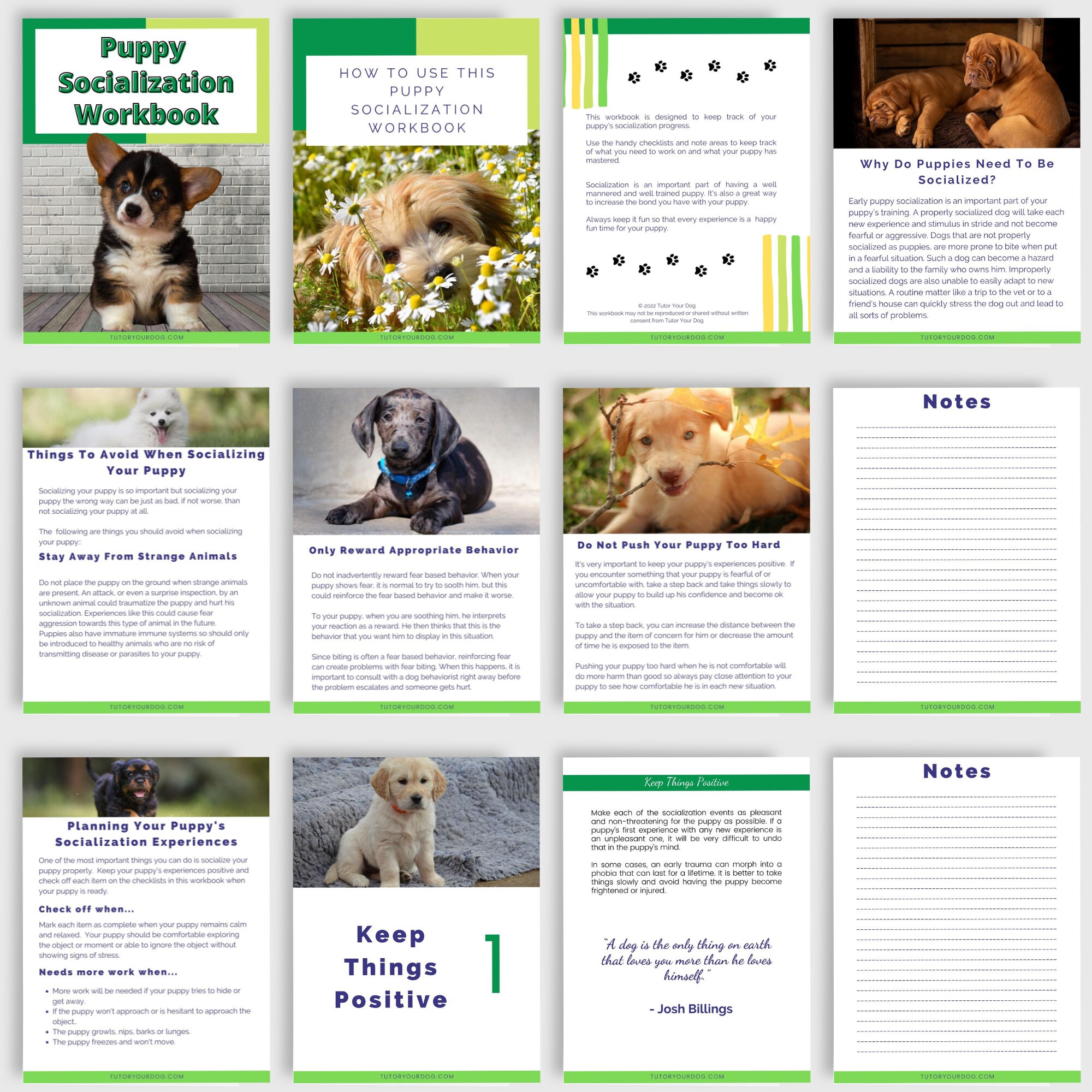 Printable Puppy Socialization Workbook | Puppy Socialization Checklist ...