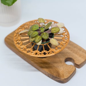 May include: A small green plant with purple stems sits in a black pot on a gold decorative stand. The stand is on a wooden chopping board.