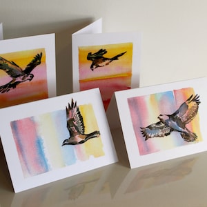 Greifvögel Karten - 4er Set