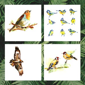 Bird Watercolour cards