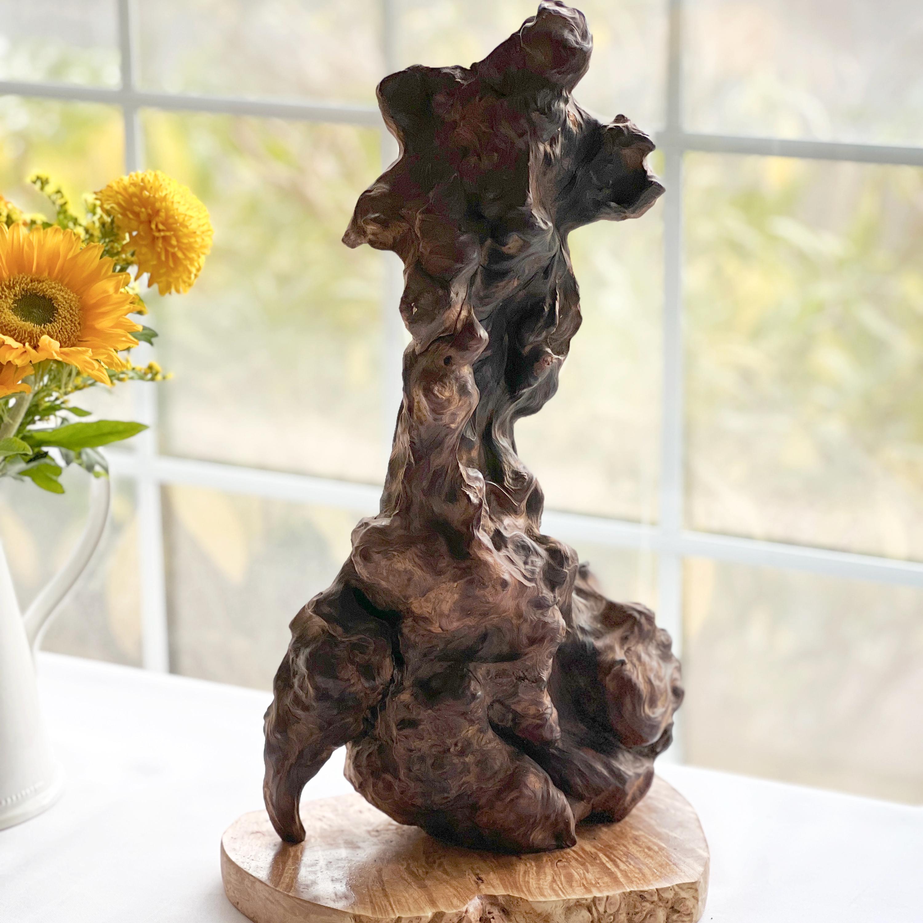 Organic Wood Sculpture, 19