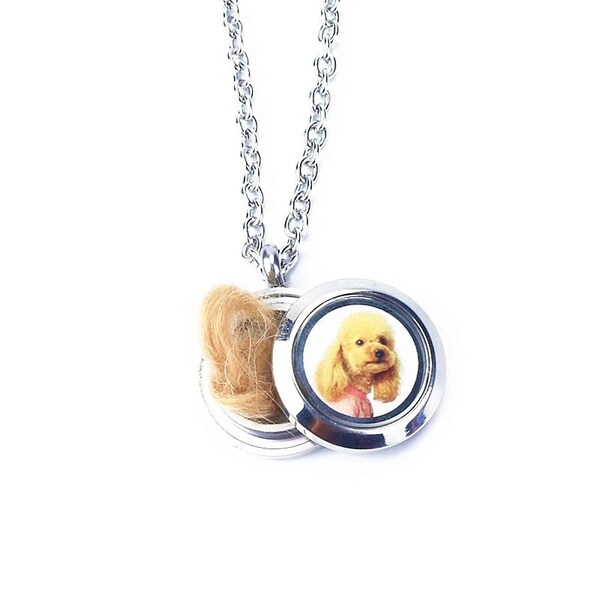 Pet Hair Memorial Photo Necklace Etsy