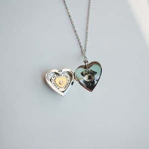 Custom Photo Necklace, Picture Necklace, Vintage Heart Necklace With Pet Photo, Pet Ashes Jewelry, Dog Cat Ashes Necklace, Personalized Gift
