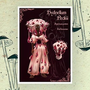 Cartes & Poster - Mysteria Botanica - Champignons Fantasy