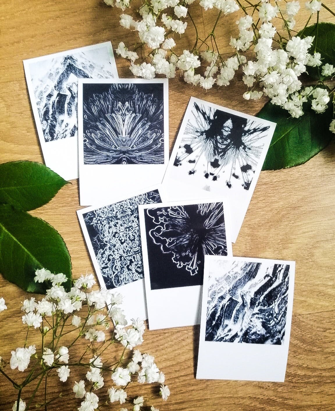 Polaroid - Glitch Végétal