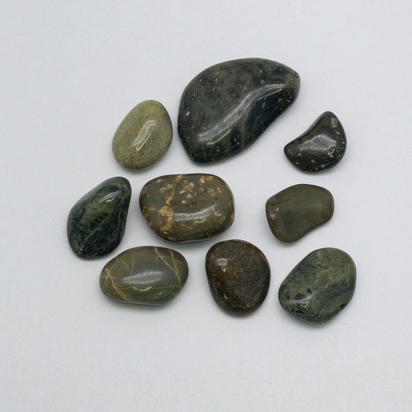 Polished Washington State Beach Rocks Blue and Green colors