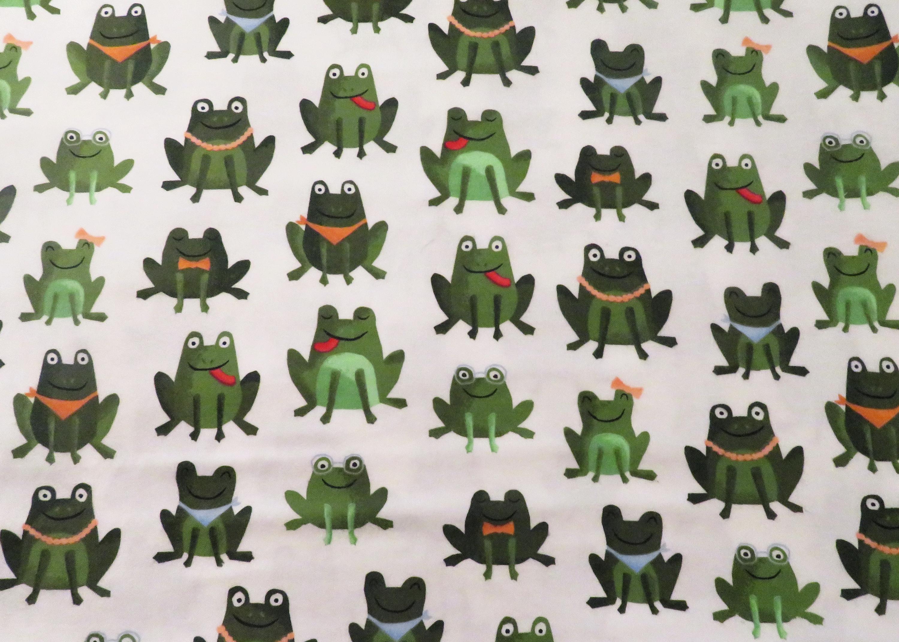 Frog Super Snuggle Fabric, Beautiful Frog Fabric, Blanket Fabric ...