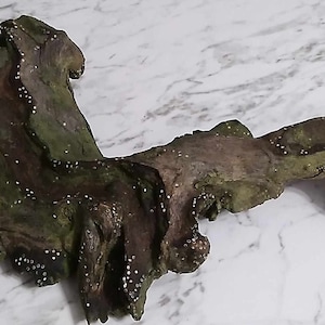 Aquarium driftwood (dense hardwood)