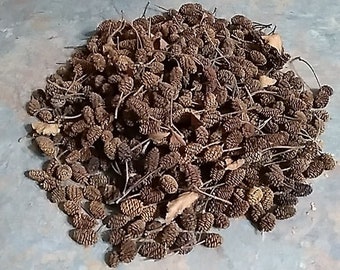 Alder cones - 100g - 100% natural (300+ cones)