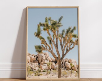 Joshua Tree / fotografía de bellas artes, decoración del hogar, naturaleza, decoración de paredes, minimalista, impresiones fotográficas, California, Desierto, Fotografía del desierto