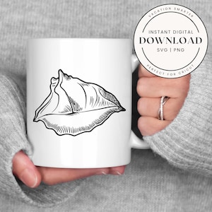 Seashell SVG for Cricut, Seashell PNG design, Beach clipart digital download, Coastal SVG file, Nautical clipart, Ocean theme digital art