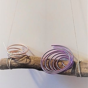 Hanging Driftwood Air Plant Holder for Wall for 2 Tillansdias