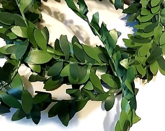 Mini Boxwood Leaves Garland 6 Ft Long