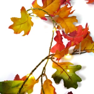 May include: A string of warm white fairy lights with artificial fall leaves in shades of red, orange, yellow, and green.