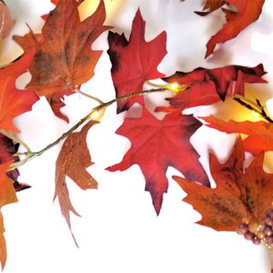 Op de afbeelding: Een herfstthema slinger met rode, oranje en bruine esdoornbladeren. De bladeren zijn gerangschikt langs een draad met kleine, warmwitte LED-lampjes. Decoratieve bessen dragen bij aan de herfst esthetiek, perfect voor seizoensgebonden decoratie.