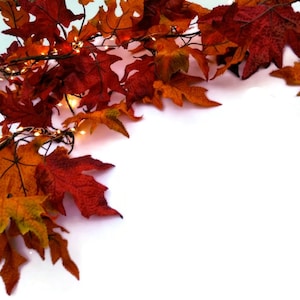 May include: A garland of autumn leaves in shades of red, orange, and yellow, with small, warm white fairy lights. The leaves are arranged on a dark brown stem, creating a festive, seasonal decoration.