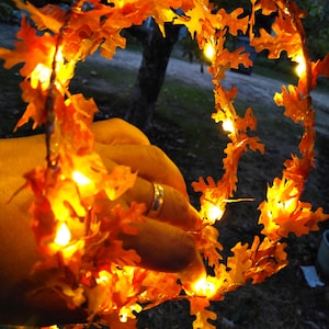May include: A string of warm white fairy lights wrapped around a garland of artificial fall leaves. The leaves are a deep orange and brown color.