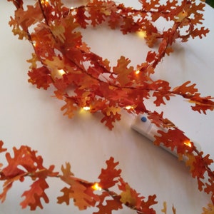 May include: A string of warm white LED lights with orange and yellow autumn leaves. The lights are battery operated and have a small remote control.