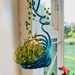 Mini Wire Air Plant Holder Set of 2 | Geometric Airplant Stands | Modern Minimal Plant Display | Small Desk Decor | Gift for Plant Lover