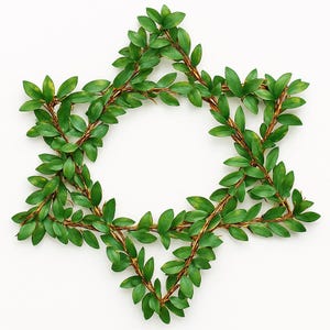 Star of David Mini Greenery Wreath Wall or Door Hanging